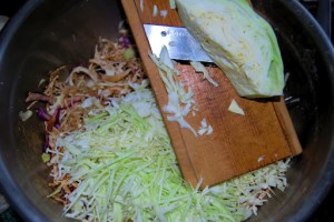 Shredded cabbage