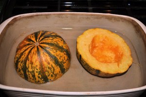 Carnival Squash