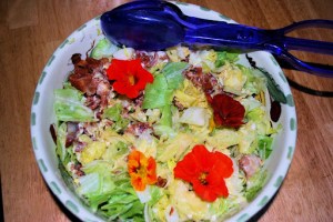 Wilted Lettuce Salad