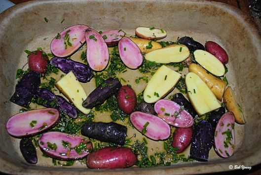 Idaho Fingerling Potatoes getting ready to be roasted. The herbs were all fresh ones from our garden.