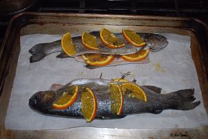 08Feb2013_1_Captains-Shack_Broiled-Trout_In-Pan
