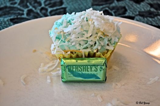 The completed cupcakes.