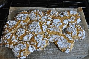 02Apr2013_1_Captain's-Shack_Robins-Lemon-Cookies_Cooling