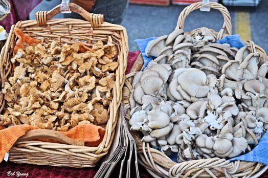 Fresh, hard to find mushrooms.