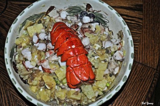 Lobster and Potato Salad. Loved it!