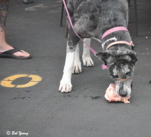 All living creatures love the market and the products that are available here.