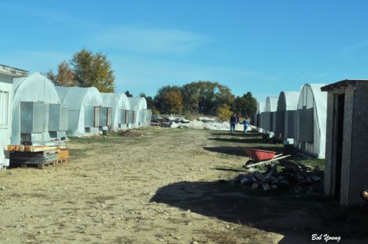 Greenhouse Row. There are about 10 houses here.