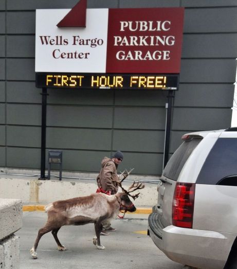 Looking for a parking space. Yup! Downtown Boise. No telling what you will see.