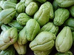 Chayote-Squash