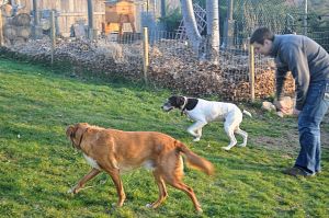 30Mar2014_1_Chris-Makes-Dinner_Chris-With-Ray-Cricket