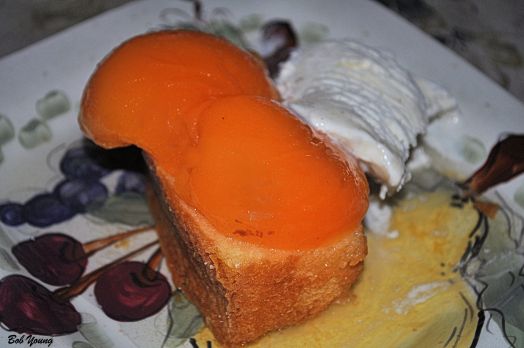 Hood-Crest Apricots Pound Cake Vanilla Ice Cream