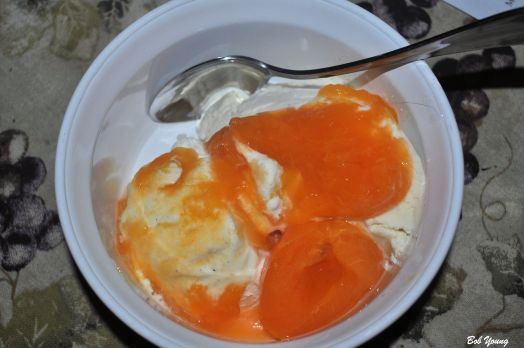 Vanilla Ice Cream with Apricot Purée