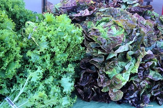 Purple Sage Farms. Great almost year round produce. Lettuces, herbs, fermented products, cabbages in the fall and other wonderful products. They have an extensive greenhouse setup that you can tour if you call ahead. 