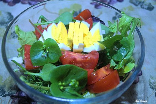 Fresh green salad with Idaho products.