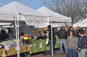 05April2014_1c_Boise-Farmers-Market_Purple-Sage-Booth