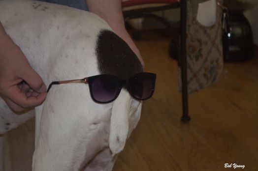 Cricket is thinking,  "Which way do I go?"