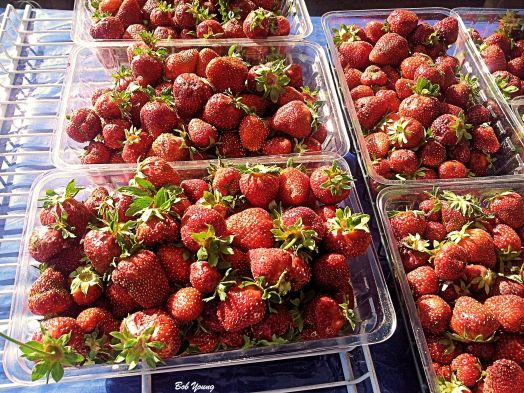 Here is what I waited for. I bought 2 pints. Yum!