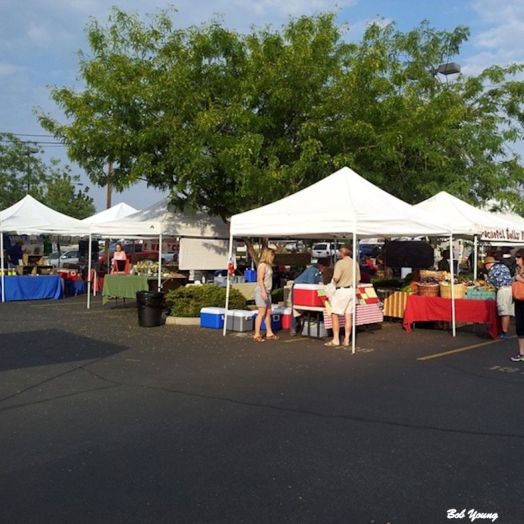 Some the the market area. The tent in the foreground is Meadowlark Farms, where I get my eggs.