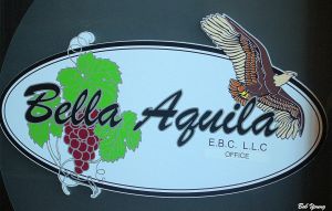 17Aug2014_1_Bella-Aquila-Eagle_Sign