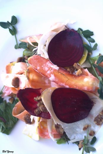 Harvest Vegetable Salad seasonal root vegetables candied walnuts local greens