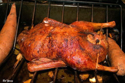 5-Hour Duck resting after coming from the oven. Roasted some sweet potatoes with it. Yummers!