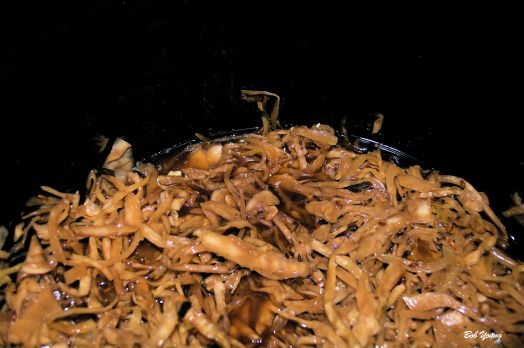 Sauerkraut in the crock about ready to be liberated!