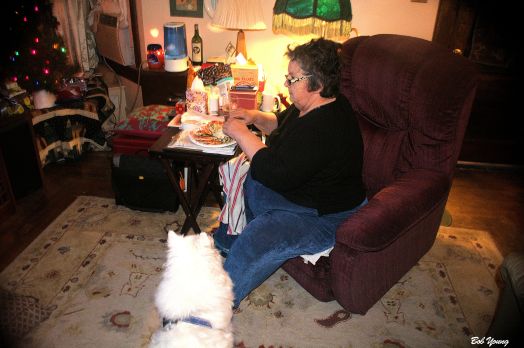 Buddy waits patiently for a "nubbin".