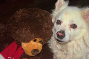 29Dec2014_1a_Captains-Shack_Buddy_With-TeddyBear_Good