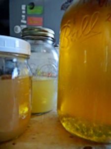 You can learn more about making your own vinegar from Making a Vinegar Mother. Have fun and explore the variations.