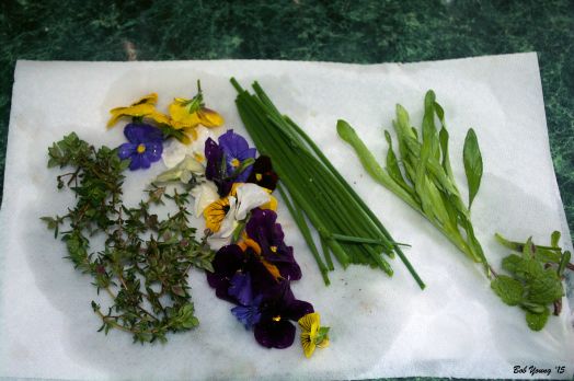 Some of the herbs we used. Thyme, violas, chives, taragon and baby sage.