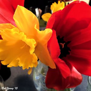 05April2015_1_My-BDay_Table-Flowers