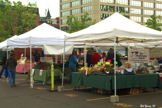 The Mushroom Man. Fresh mushrooms,  fiddlehead ferns, sorrel and watercress is available from them.