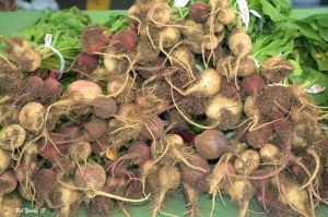 11Apr2015_1f_Boise-Farmers-Market_Fresh-Beets