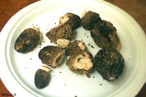 17May2015_1_Captains-Shack-Breakfast_Morels-Ready