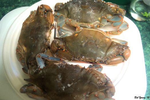 Soft Shell Blue Crabs ready for cleaning.