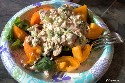 Tuna Salad Fresh Greens Local Yellow Tomatoes