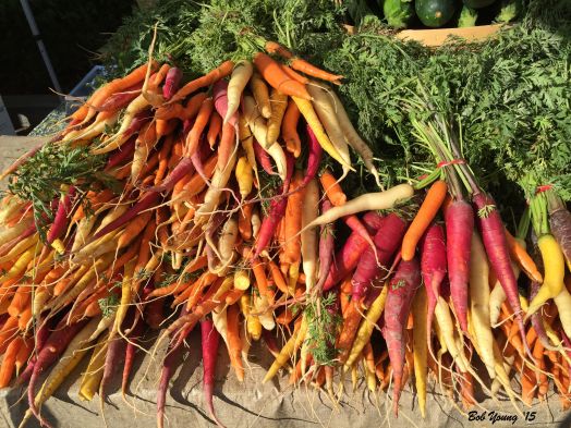 Even as unseasonably hot  as it has been, the heirloom carrots are great!