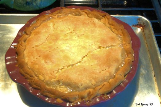 After 1 hour at 350 degrees F, this is what you end up with. A luscious, splendid, delicious Corn Pie. Bubbling with a creamy mixture of whole milk (or cream) and butter and wonderful fresh corn.