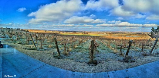 Part of the Snake River AVA from Parma Ridge Winery tasting room. Beautiful!
