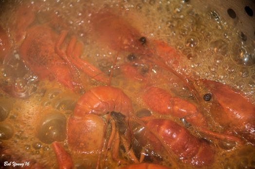 Crayfish cooking
