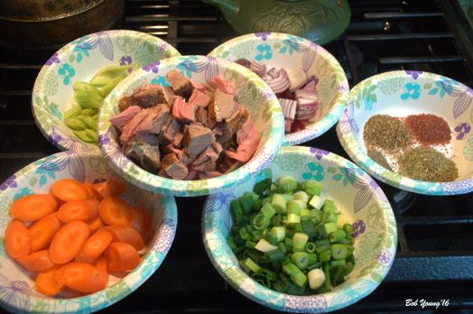 Prep for the Irish Stew. Carrots, celery, lamb cubes ()Felzien lamb!), Red onion, green onion and spices.