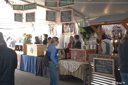 There were many local and Idaho breweries represented. Some very good micro breweries and nano breweries.