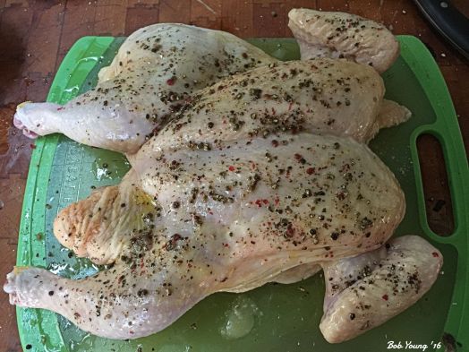 The spatchcock chicken. The pepper is a combination of black, pink and green that I ground. Great flavors.