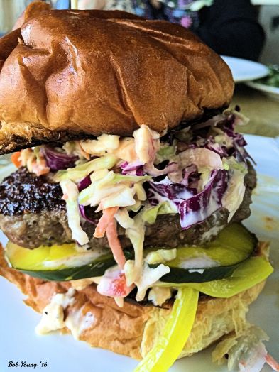 The Rebellion Burger is fantastic. Their own dill pickles, onion, lettuce and tomato. Well woth the $11.00 price tag. There is a lot here.