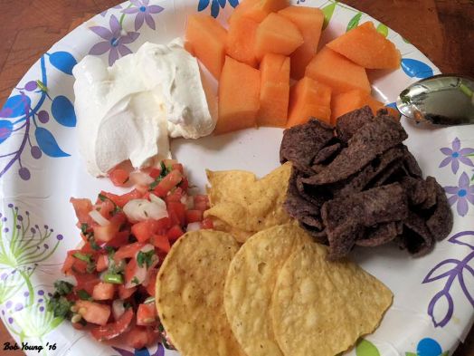 Salsa Sour Cream Canteloupe Cubes Blue Corn Chips Corn Chips