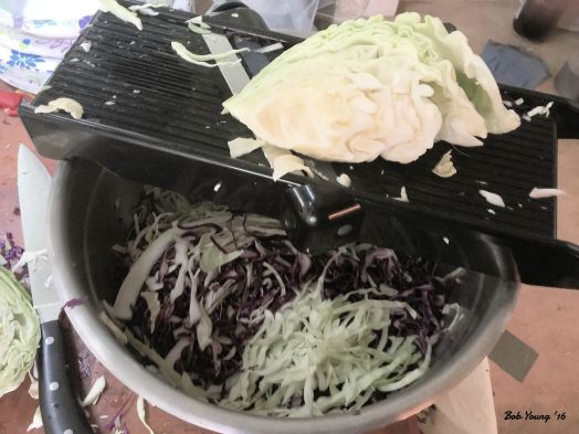 Shredding the cabbage using a mandolin. See tghe belnd of red and white cabbage. 4 heads of white cabbage to 2 medium heads of red cabbage. Nice color blends.