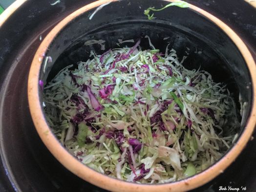 The shreeddedd cabbage in the crock. See the recipe for the spices I use. There are only 4.