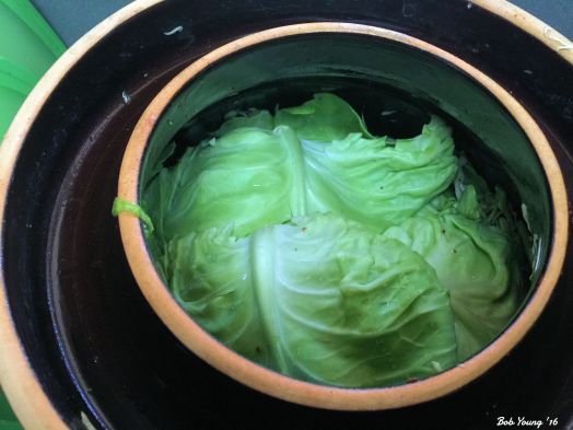 Uncut cabbage leaves are placed on top of the shredded cabbage. Note the "water trough" on the edge of the crock. The top lid fits right in this "trench" and seals the mash from air.