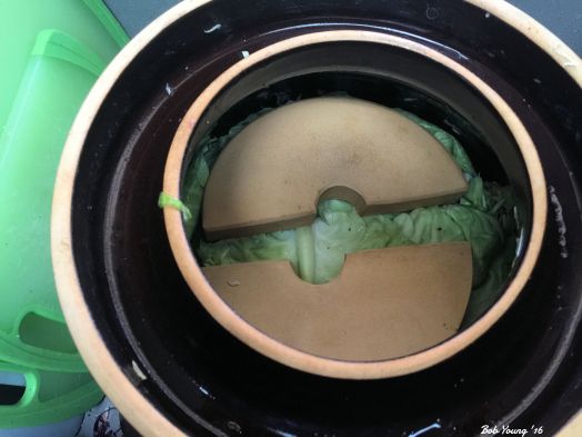 Finally, weights - these came with the crock - are placed on the leaves to hold the cabbage under the liquid that forms. The idea is to keep the cabbage submerged and out of any air.