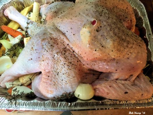 Turkey has been spatchcocked (backbone removed) and sitting on heirloom root vegetables - carrot, parsnips and onion - to keep the turkey off the bottom of the pan.